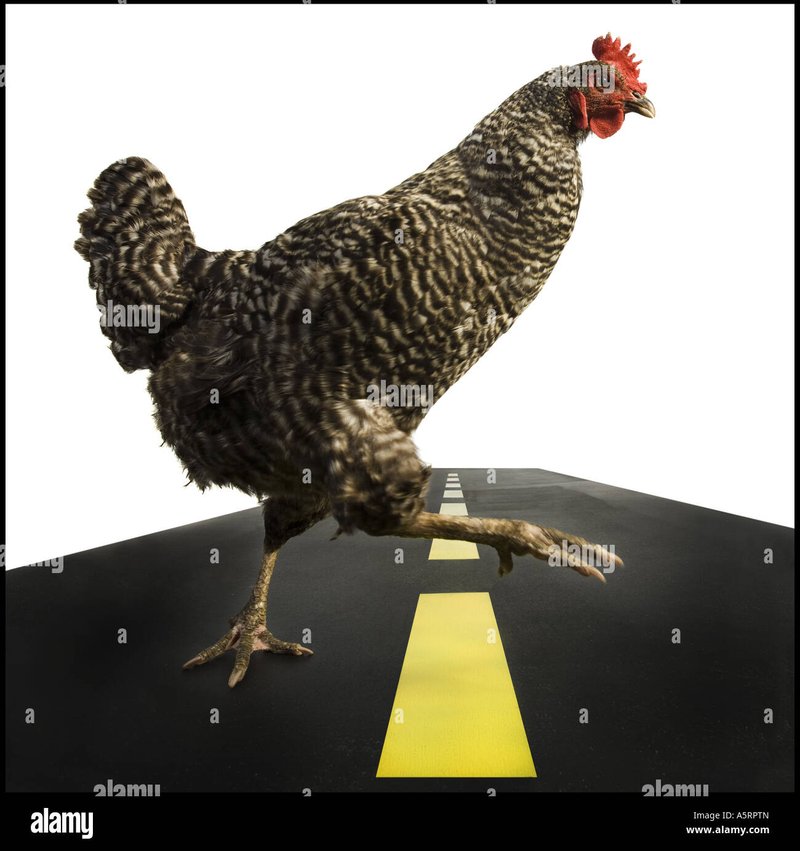 Spain - chicken road españa